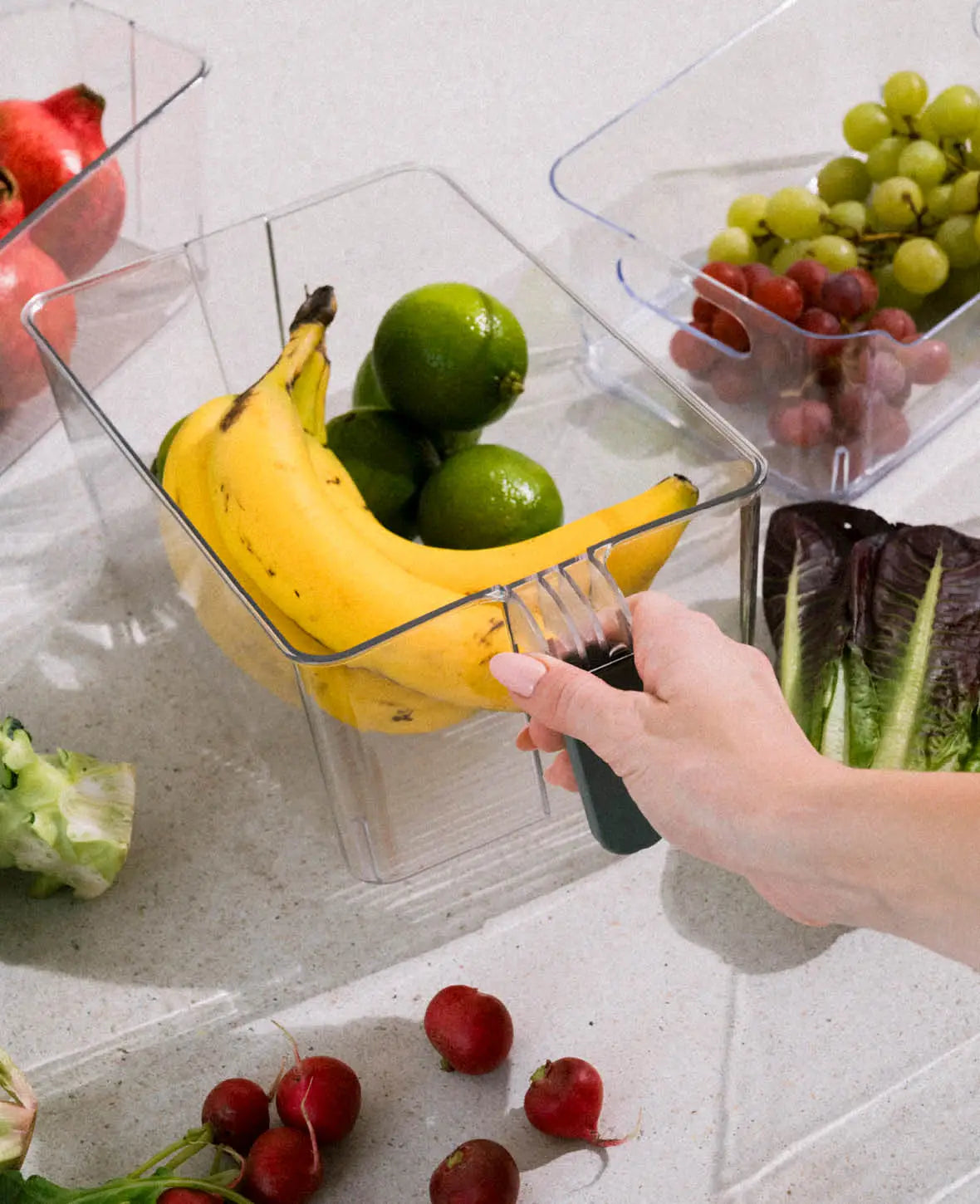 Refrigerator Organizer, 31 × 18cm