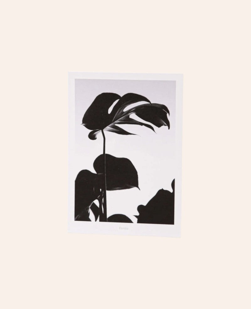 Grusskarte / Postkarte Hochformat "Monstera", 10.5 x 14.8 cm, weisse Karte mit Foto Print in Schwarz-Weiss