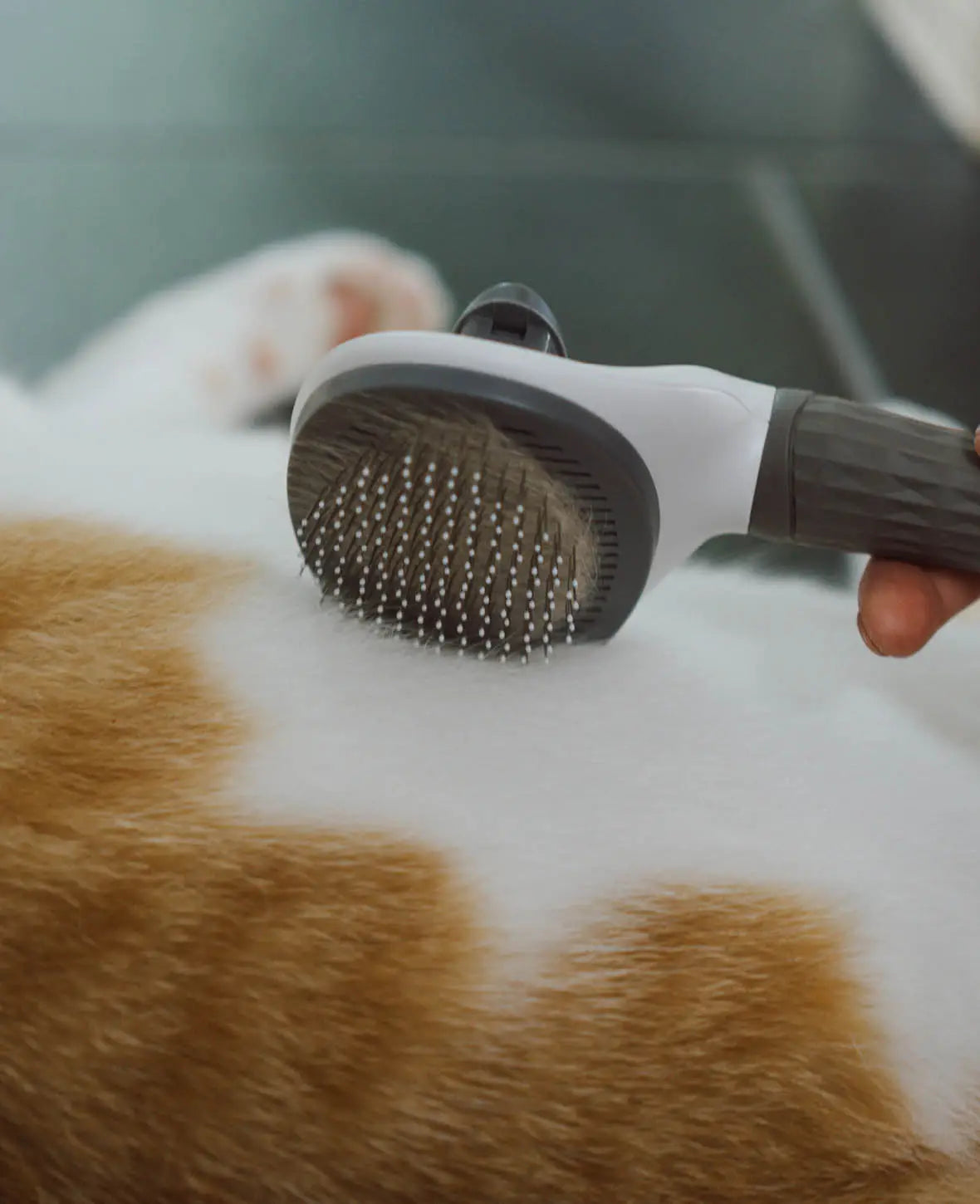 Selbstreinigende Haustier Fellbürste für Katzen und Hunde, rund, grau-weiss