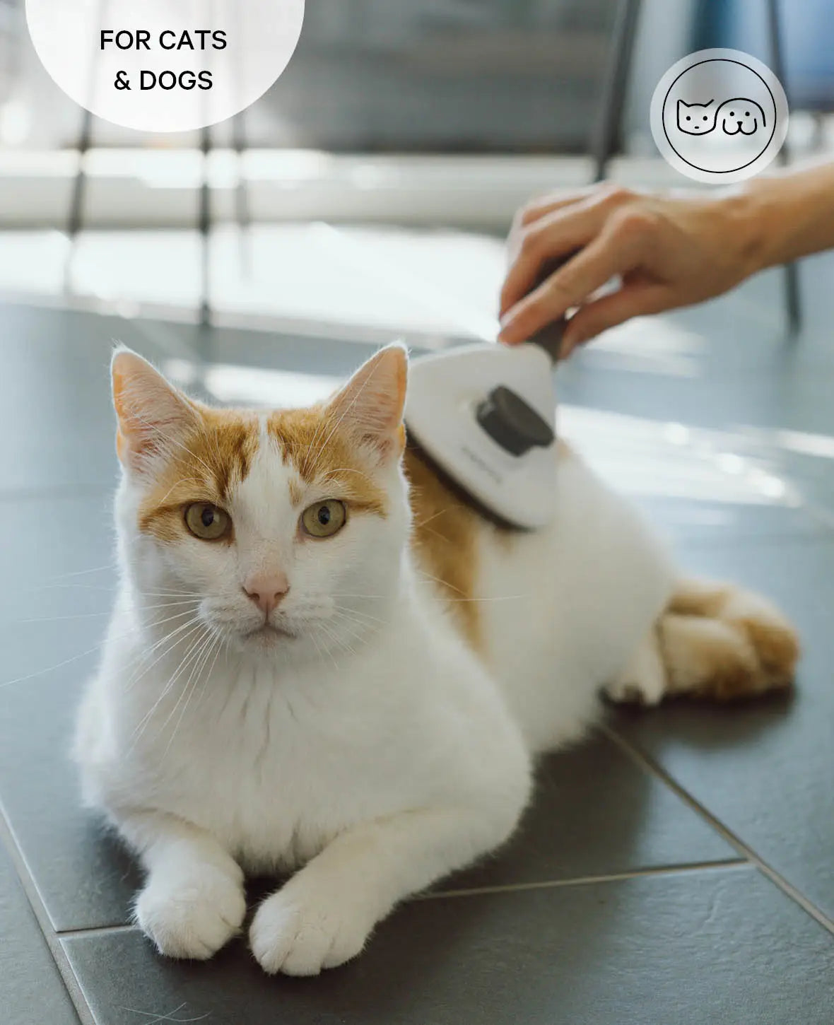 Selbstreinigende Haustier Fellbürste für Katzen und Hunde, rund, grau-weiss