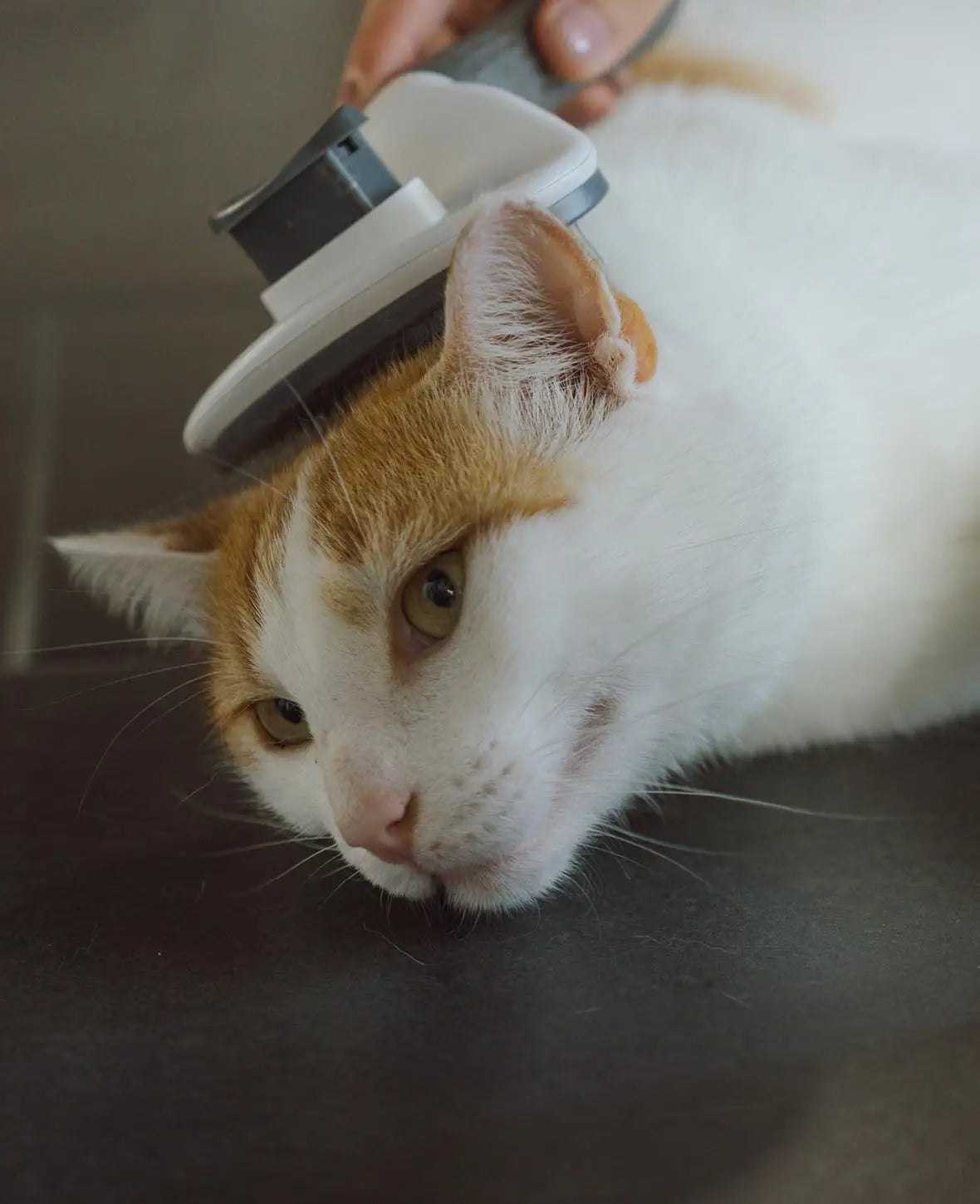 Selbstreinigende Haustier Fellbürste für Katzen und Hunde, eckig, grau-weiss