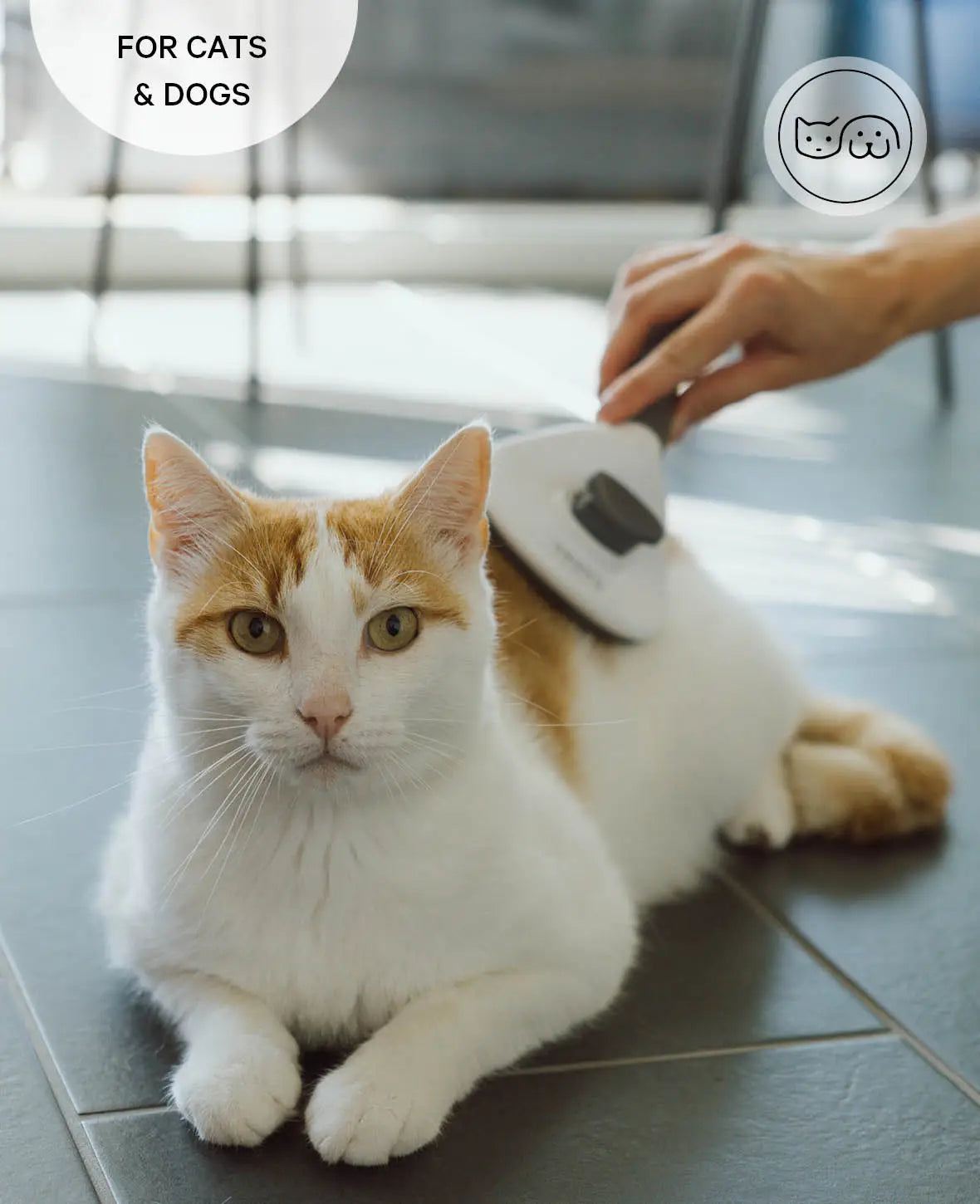 Selbstreinigende Haustier Fellbürste für Katzen und Hunde, eckig, grau-weiss