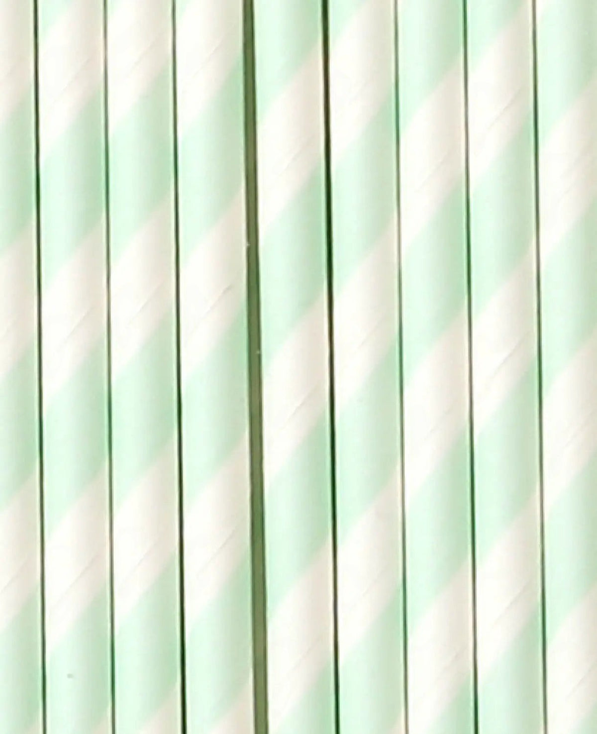 Papiertrinkhalme, Mint, 9.5 cm, 25 Stk.
