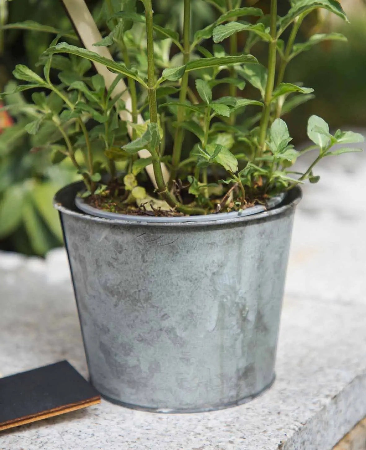 Kräutertopf Ø 14 cm, Silber, 1 Stk.