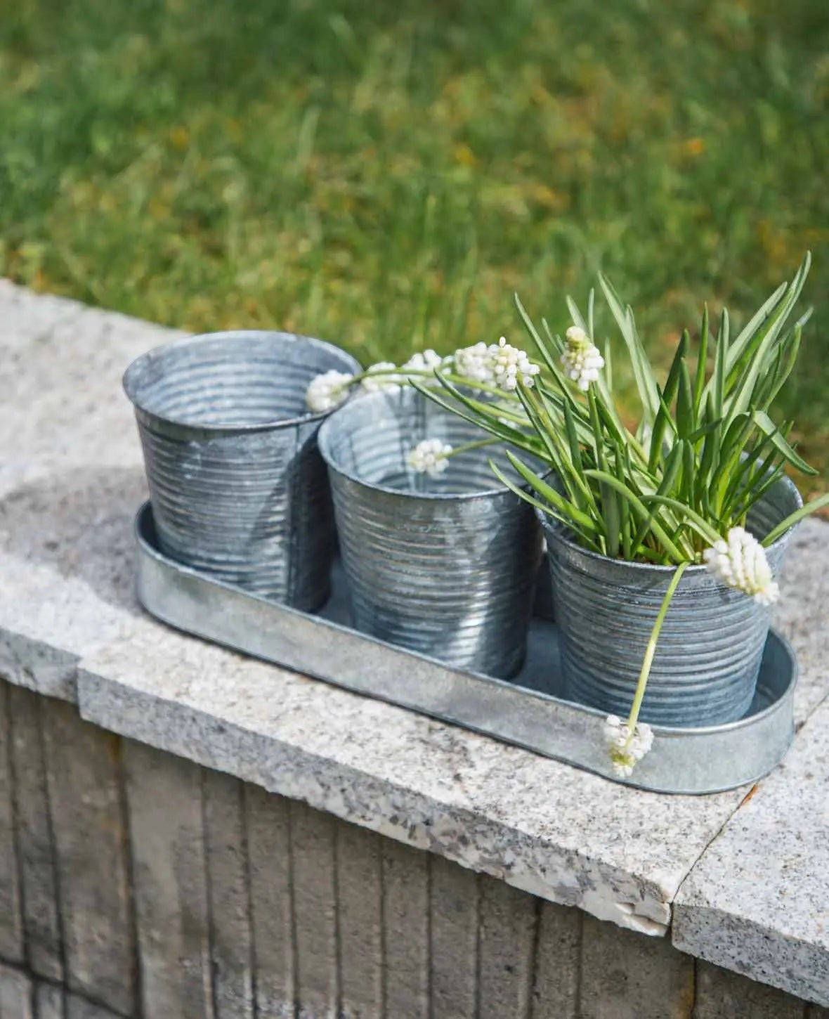 Blechtöpfe-Set, Kräutertopf, Blech, Silbergrau, 33 x 10 cm, 3er Set