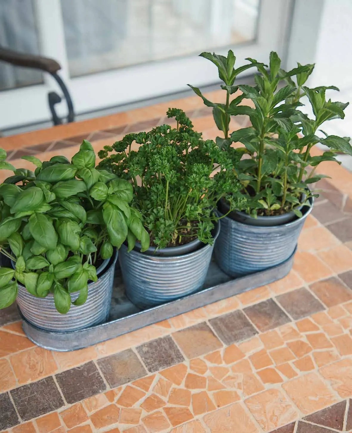 Blechtöpfe-Set / Kräutertopf, Blech, Silbergrau, 40 x 12 cm, 3er Set