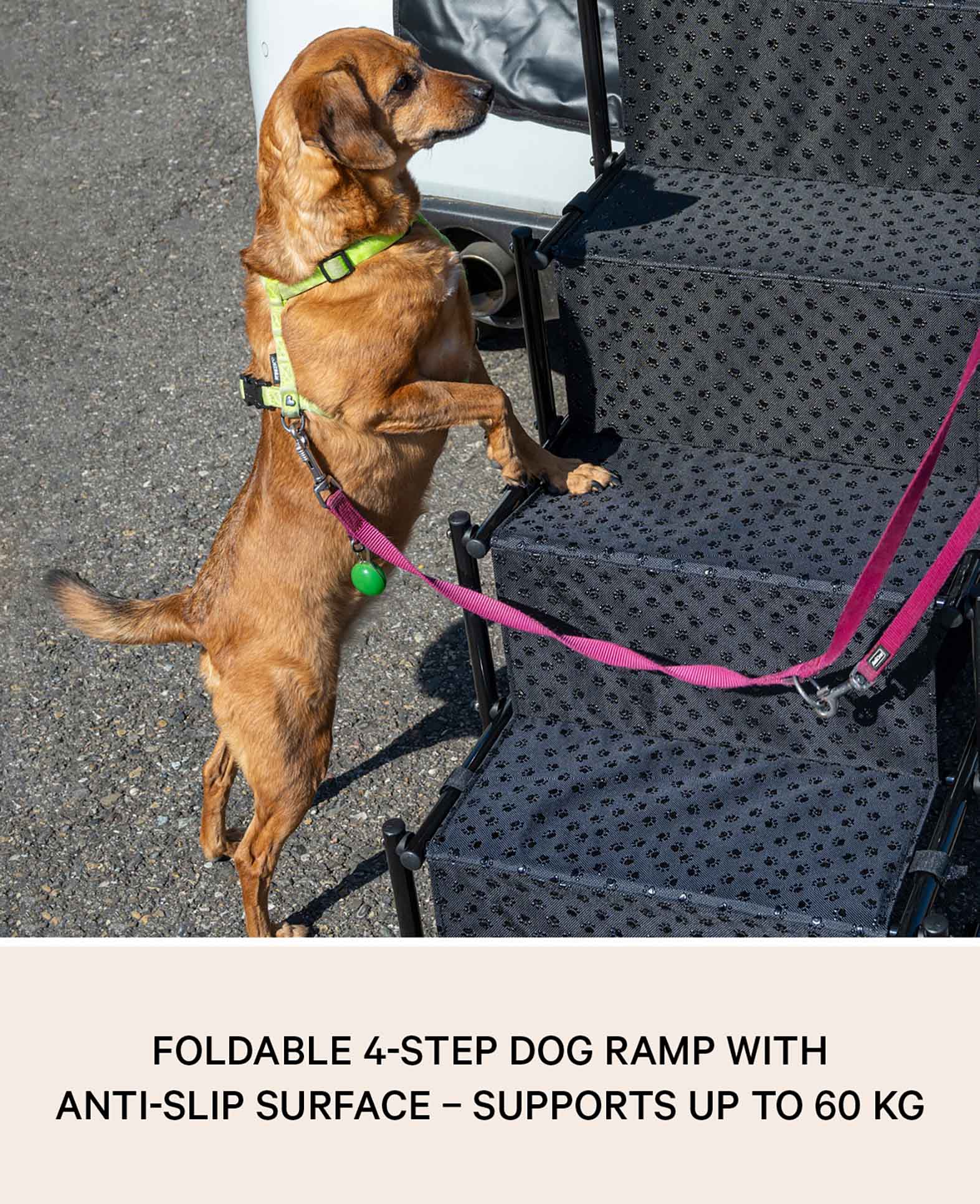 Faltbare Hundetreppe Auto Einstieghilfe Tragbare Hunde Rampe - Schwarz