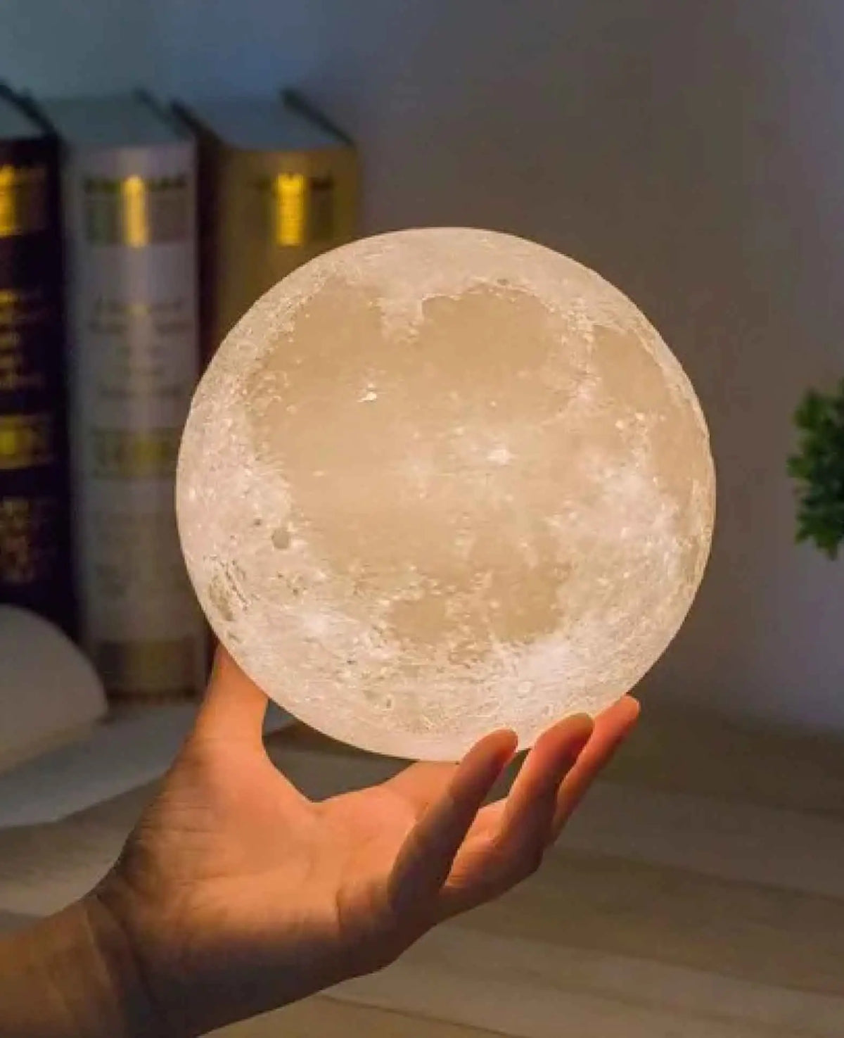 Schwebende LED Mond Lampe mit Holzsockel, Braun, Ø 15cm