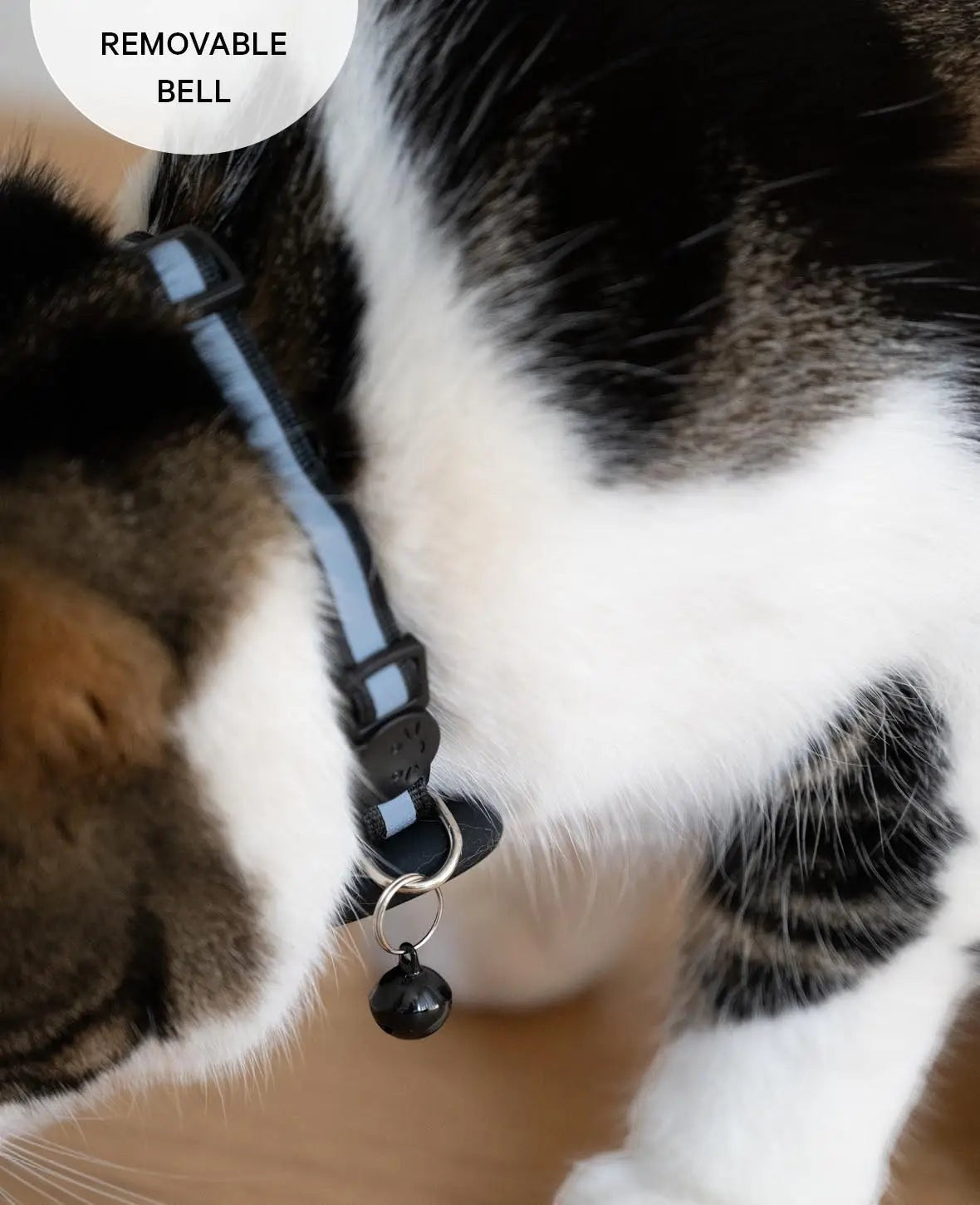 Katzen Halsband mit Apple AirTag Silikon Halterung, Adressanhänger, Schwarz