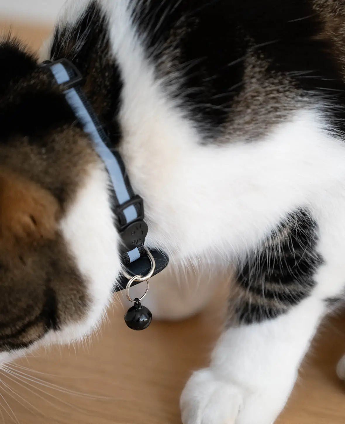 Katzen Halsband mit Apple AirTag Silikon Halterung, Reflektor, Schwarz