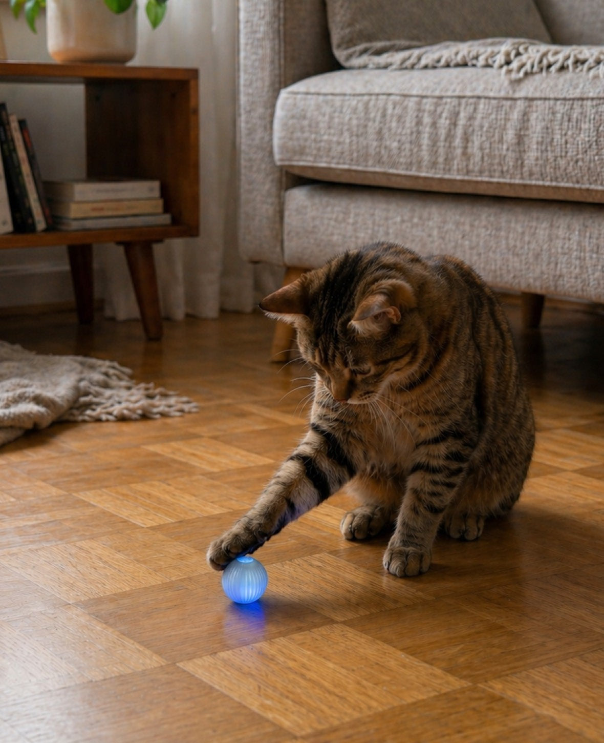 USB Katzen Spielzeug Rollender Spielball - Blau / Rosa, Ø43mm, 2 Stk.