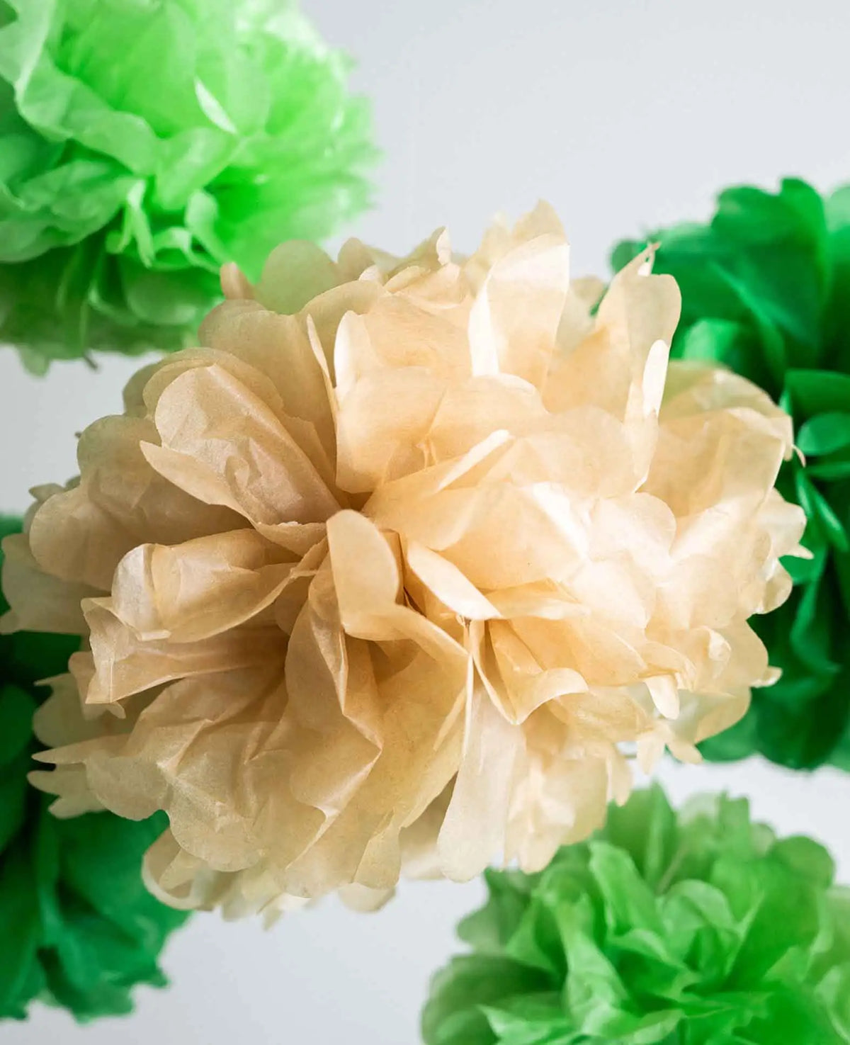 Papier Pompon's Deko Kreis Girlande Party - Grün / Braun / Beige, 15-tlg.