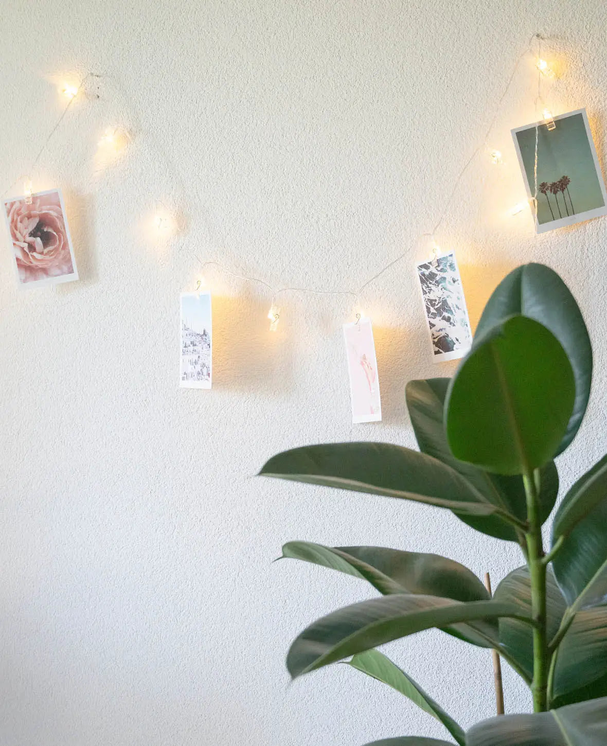 LED Lichterkette mit Foto Clips / Klammern - Warmweiss, 5 m