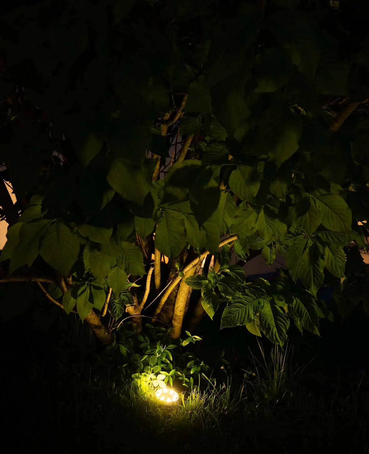 Wasserfeste Solar LED Lampe / Webgeleuchtung aus Edelstahl, 4 Stk.