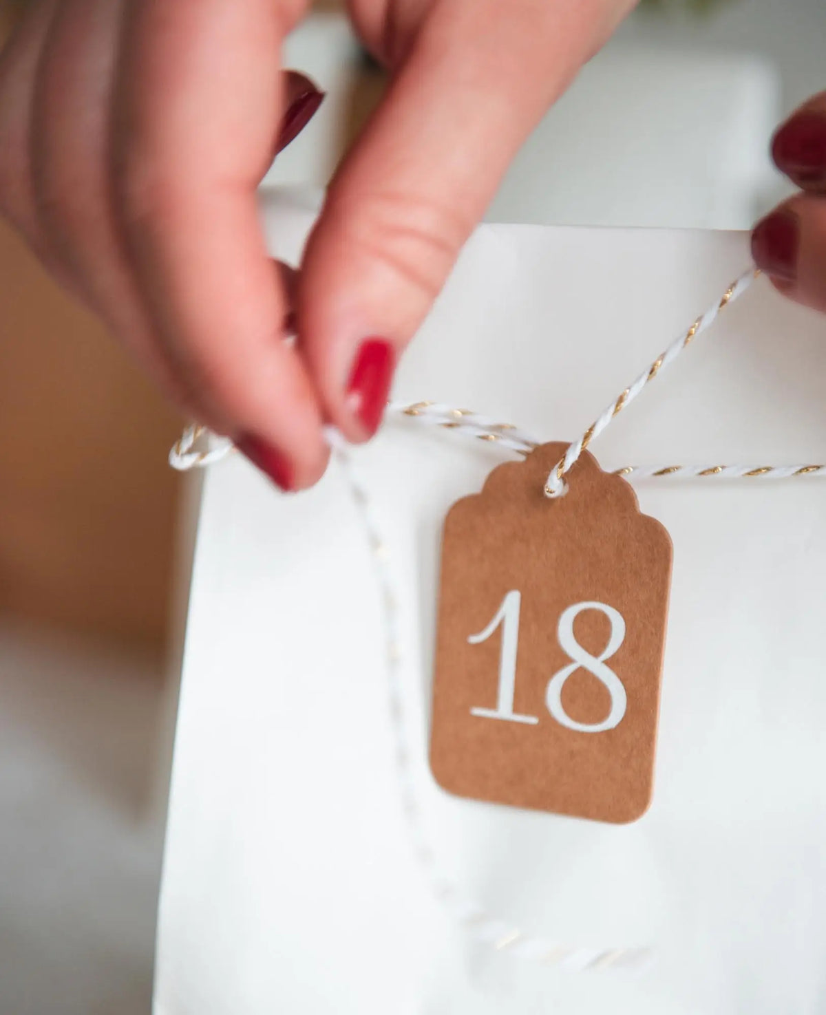 Adventskalender Tags mit 6 m Schnur, Braun & Weiss, ø 6 cm, 24 Stk.