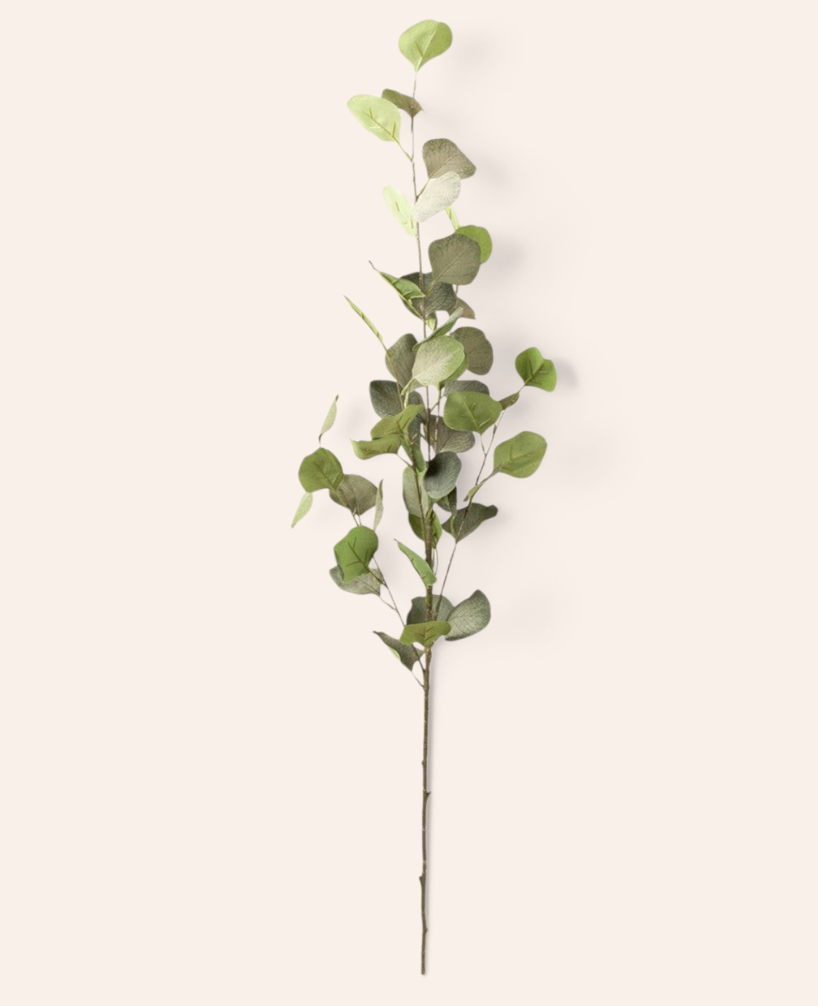 Esmée Eukalyptuszweig aus Polyester in natürlichem Grün, 90 cm lang für dekorative Vasenarrangements