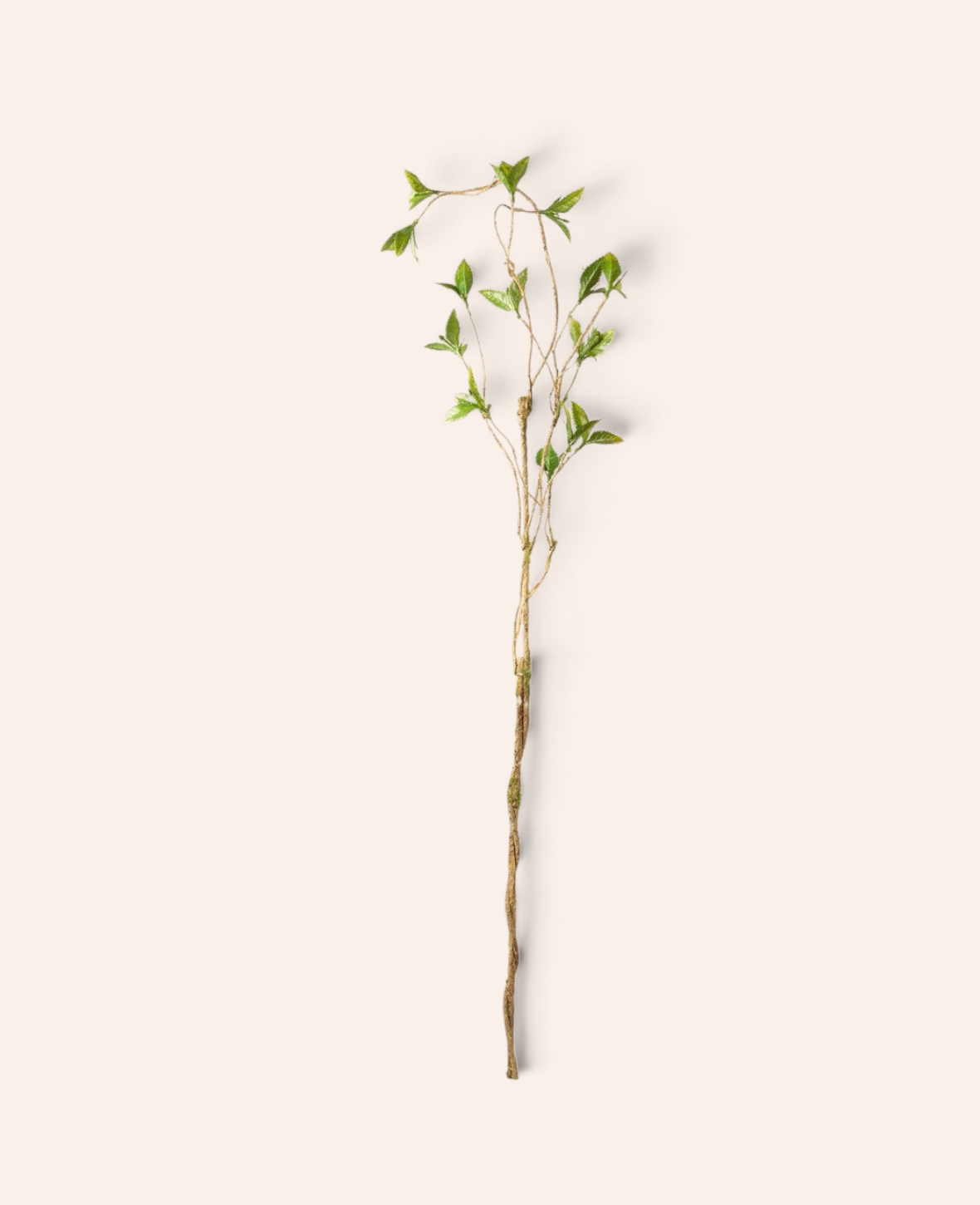 Esmée künstlicher Blattzweig in Grün aus Polyester, 105 cm lang, ideal für hohe Vasen und florale Dekorationen