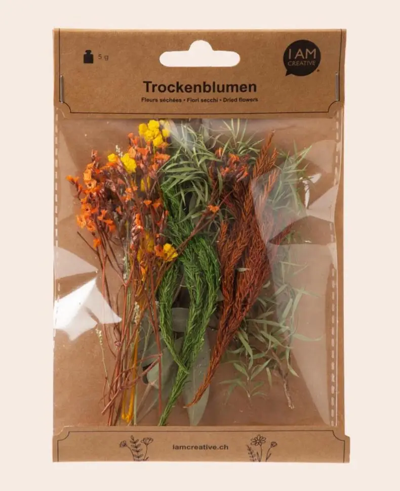 1000-1192_Trockenblumen_