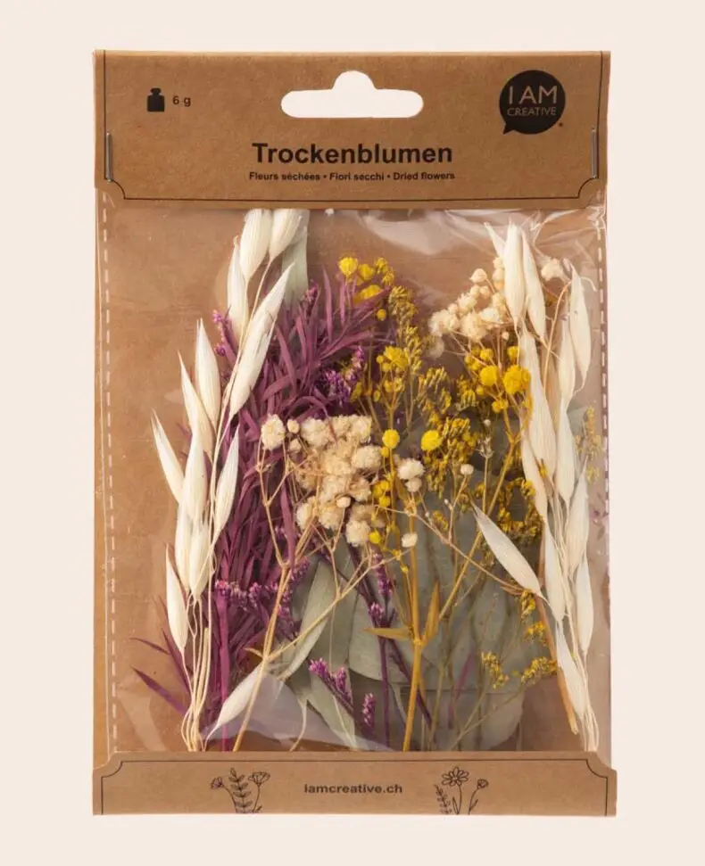 1000-1193_Trockenblumen_