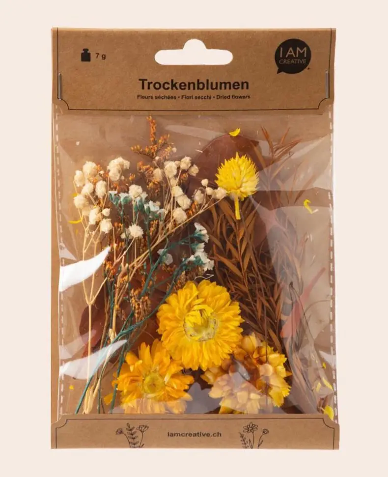 1000-1199_Trockenblumen_