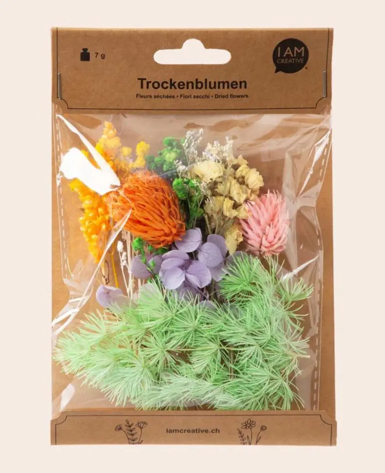 1000-1200_Trockenblumen_